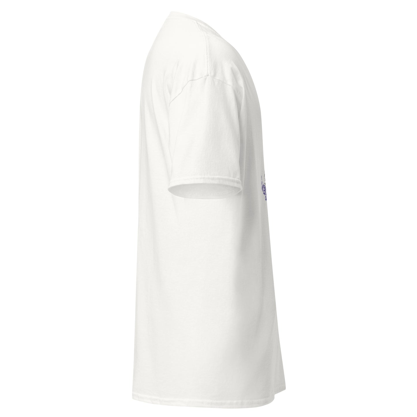 unisex-classic-tee-white-right-6a17594290cfd - Dreamy Phoenix