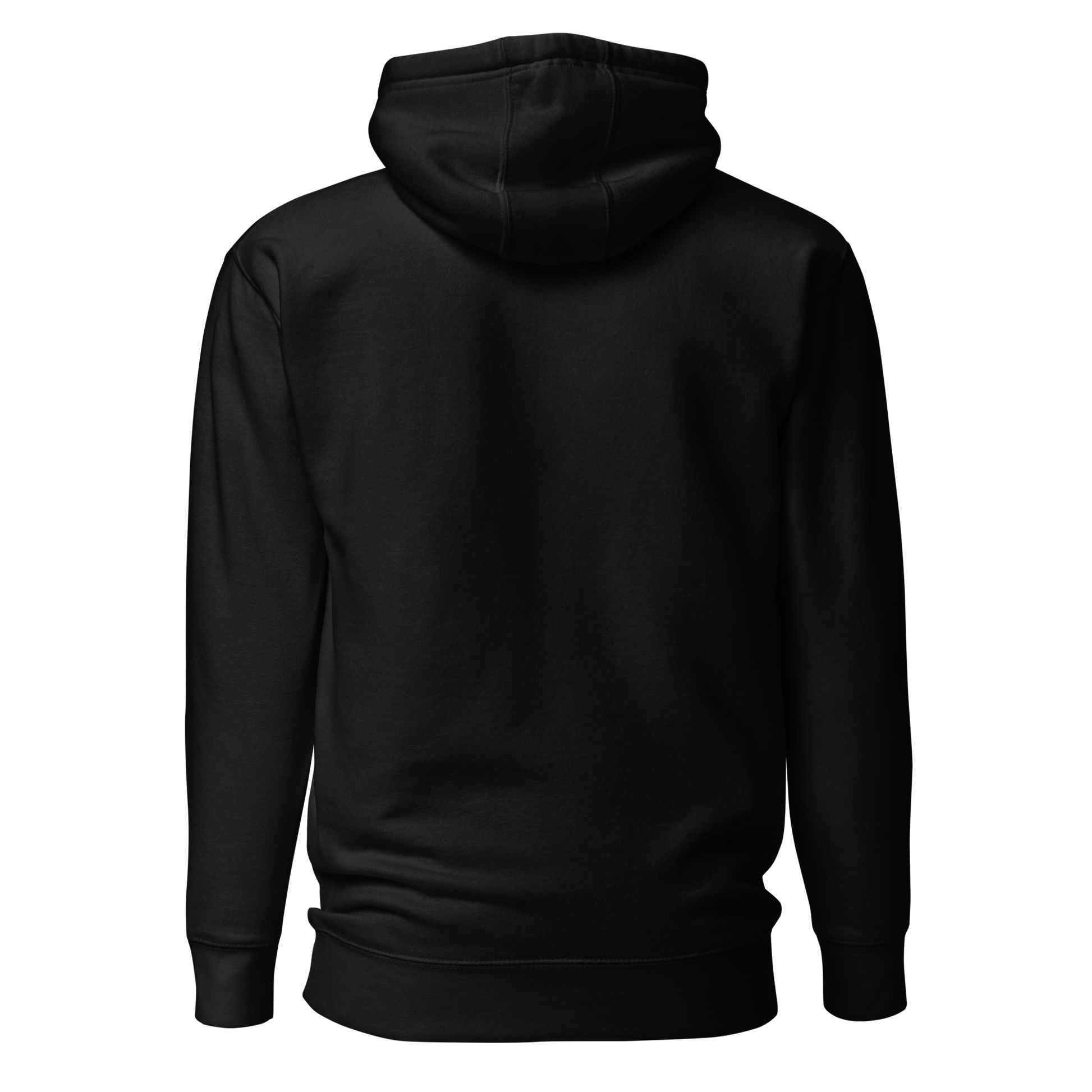 cotton-heritage-m2580-i-unisex-premium-pullover-hoodie-black-back-69b6eaa7375f2 - Dreamy Phoenix