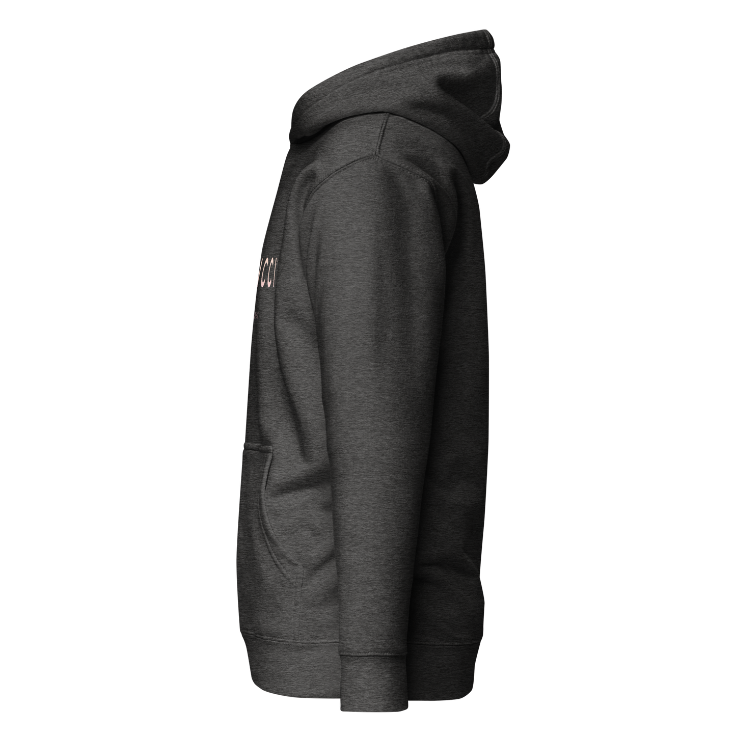 cotton-heritage-m2580-i-unisex-premium-pullover-hoodie-charcoal-heather-left-69b6eaa738dba - Dreamy Phoenix