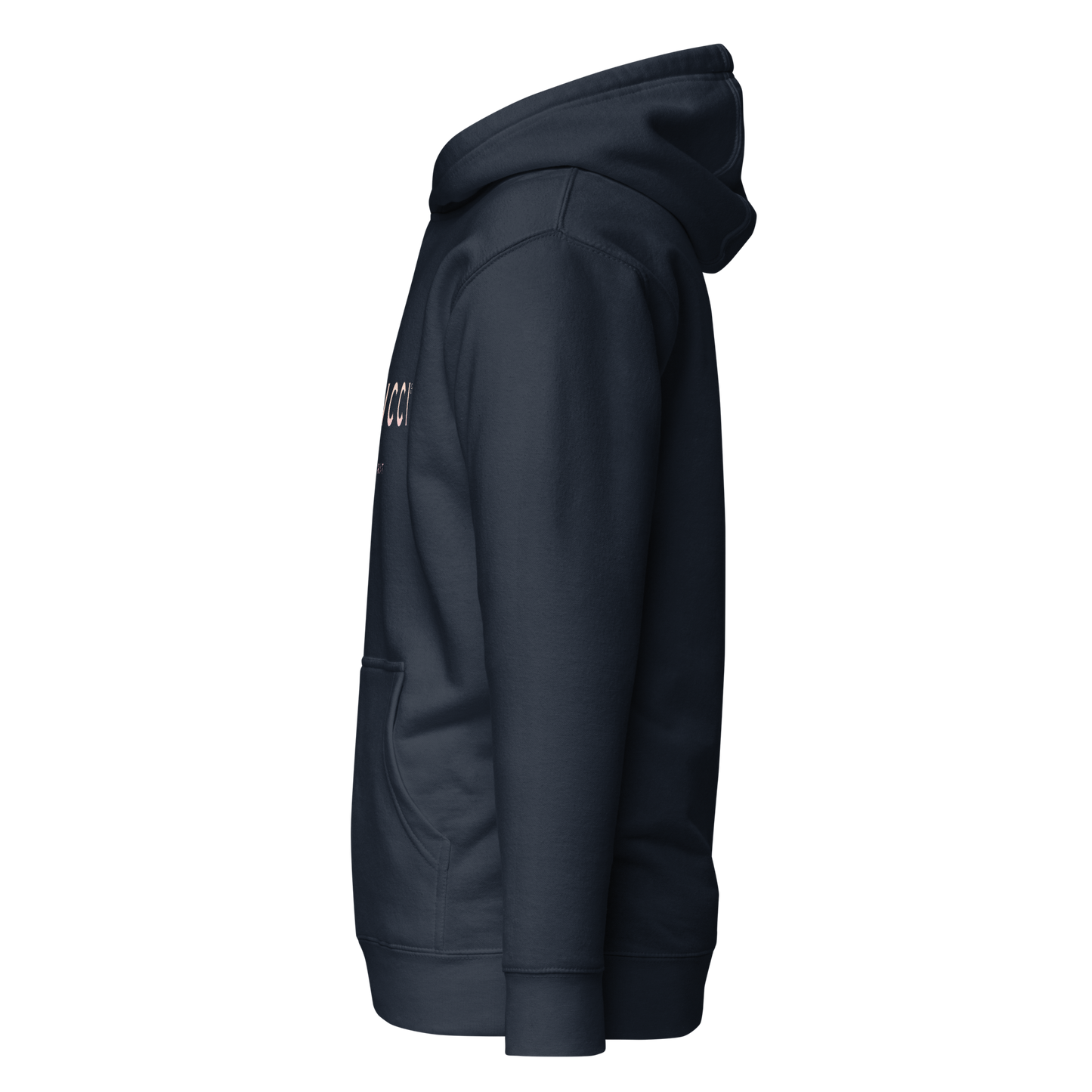 cotton-heritage-m2580-i-unisex-premium-pullover-hoodie-navy-blazer-left-69b6eaa73906c - Dreamy Phoenix