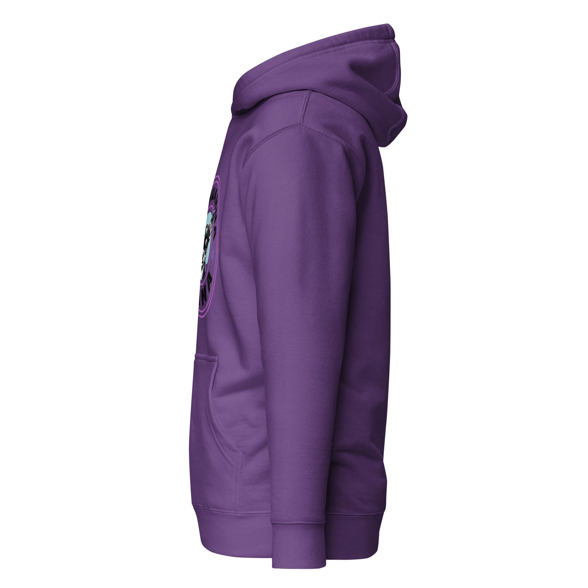 cotton-heritage-m2580-i-unisex-premium-pullover-hoodie-purple-left-69b6a8d97e39b - Dreamy Phoenix