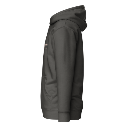 cotton-heritage-m2580-i-unisex-premium-pullover-hoodie-vintage-black-left-69b6eaa7391b3 - Dreamy Phoenix
