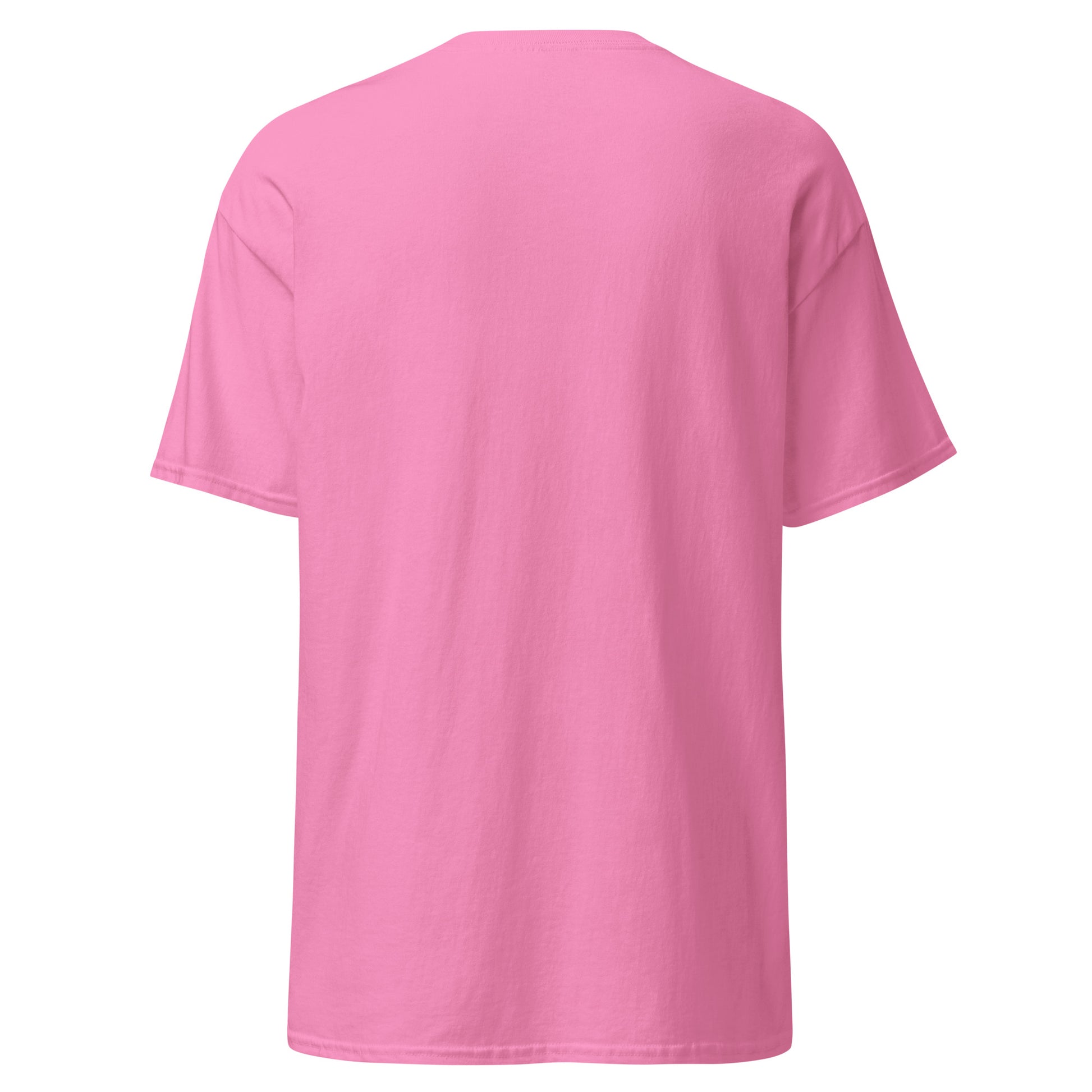 unisex-classic-tee-azalea-back-69dd5e0d072eb - Dreamy Phoenix