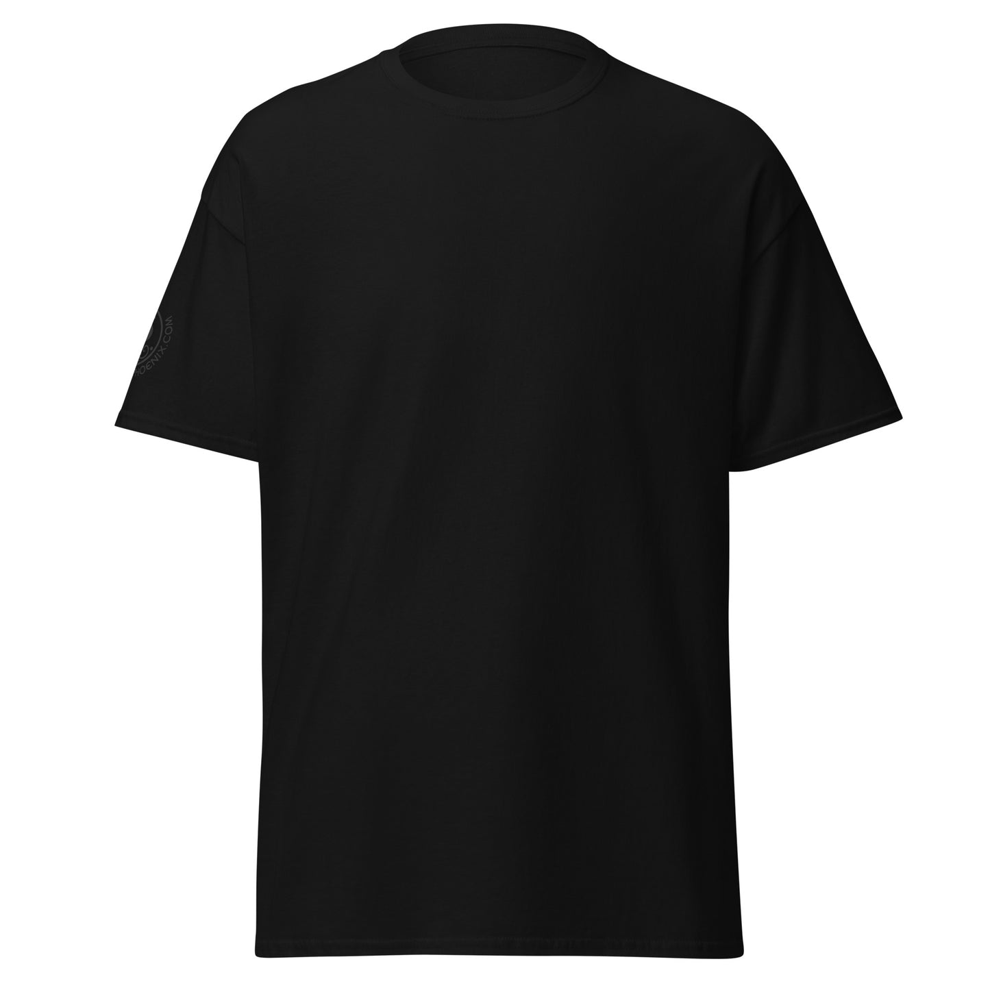 unisex-classic-tee-black-front-69d63f052bf7c - Dreamy Phoenix