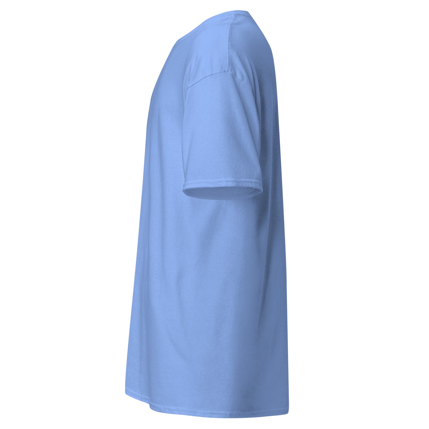 unisex-classic-tee-carolina-blue-left-69d63f052b07d - Dreamy Phoenix