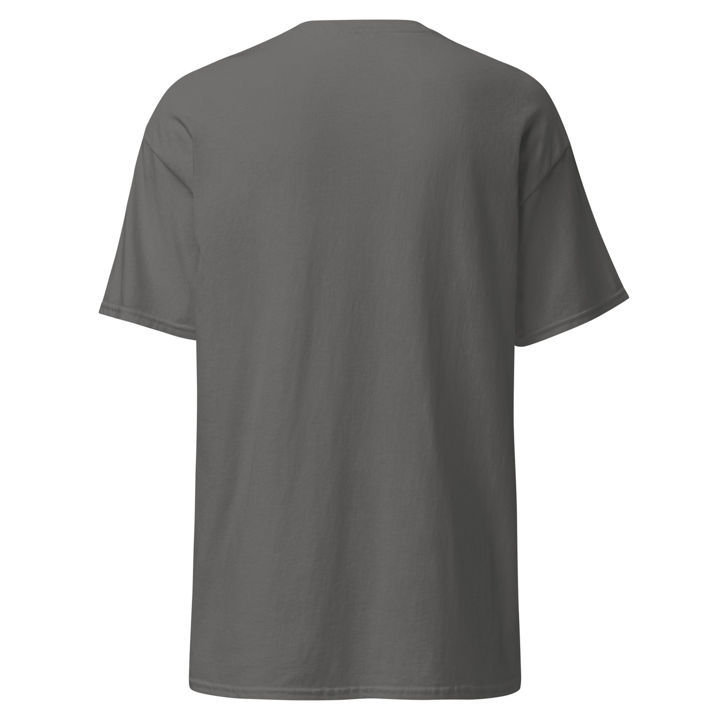 unisex-classic-tee-charcoal-back-6a1757fa27ee0 - Dreamy Phoenix
