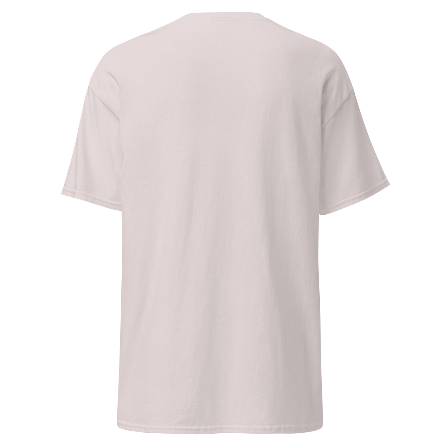 unisex-classic-tee-ice-grey-back-69dd5e0d07e85 - Dreamy Phoenix