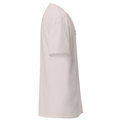 unisex-classic-tee-ice-grey-right-6a1757fa4db41 - Dreamy Phoenix