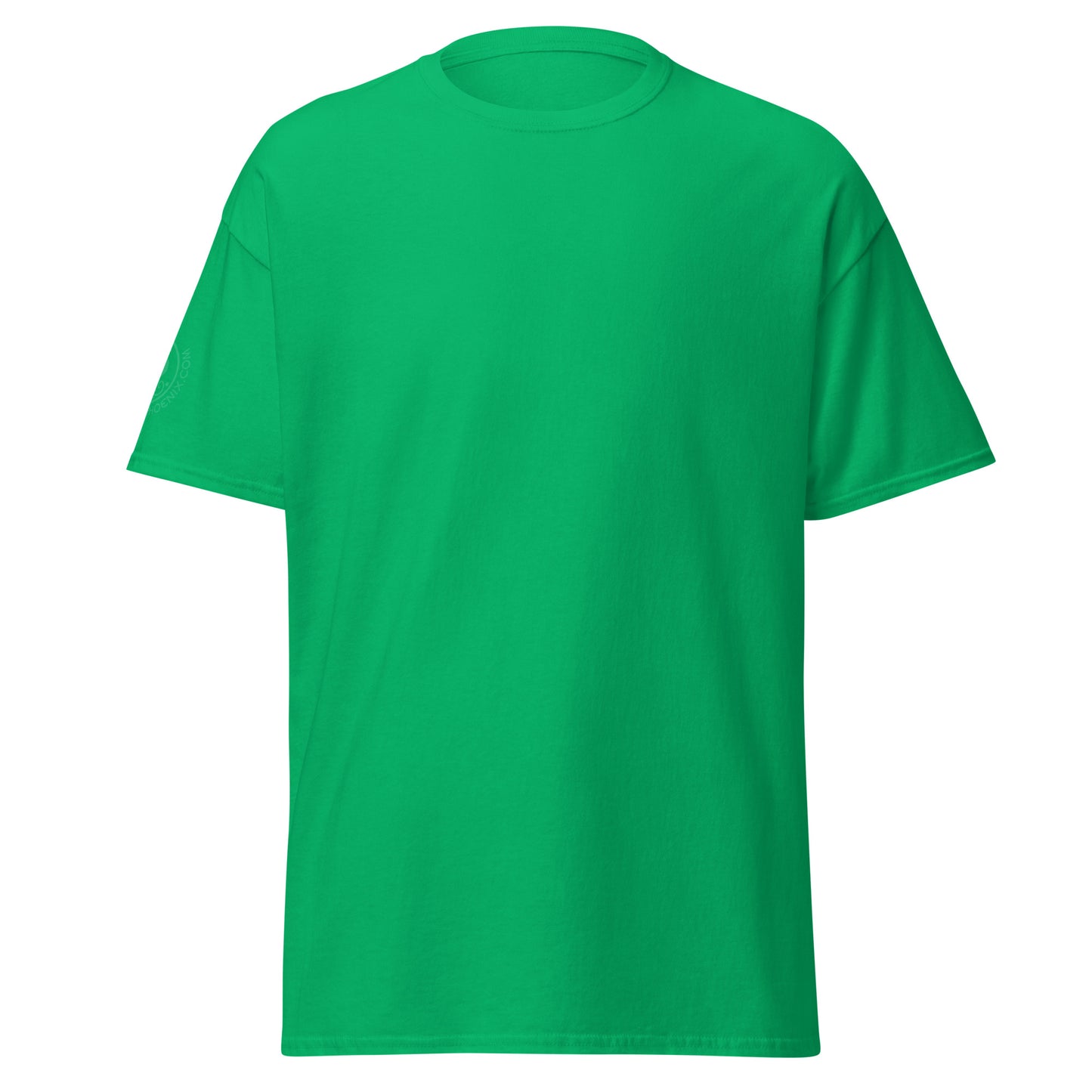 unisex-classic-tee-irish-green-front-69d63f052c26c - Dreamy Phoenix