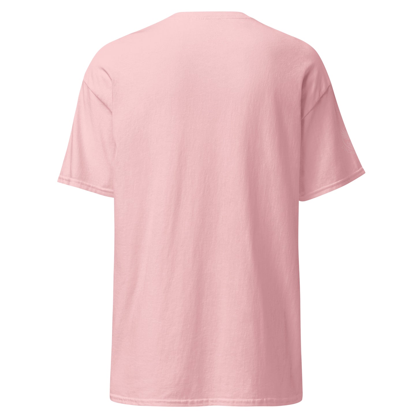unisex-classic-tee-light-pink-back-69d63f052949b - Dreamy Phoenix