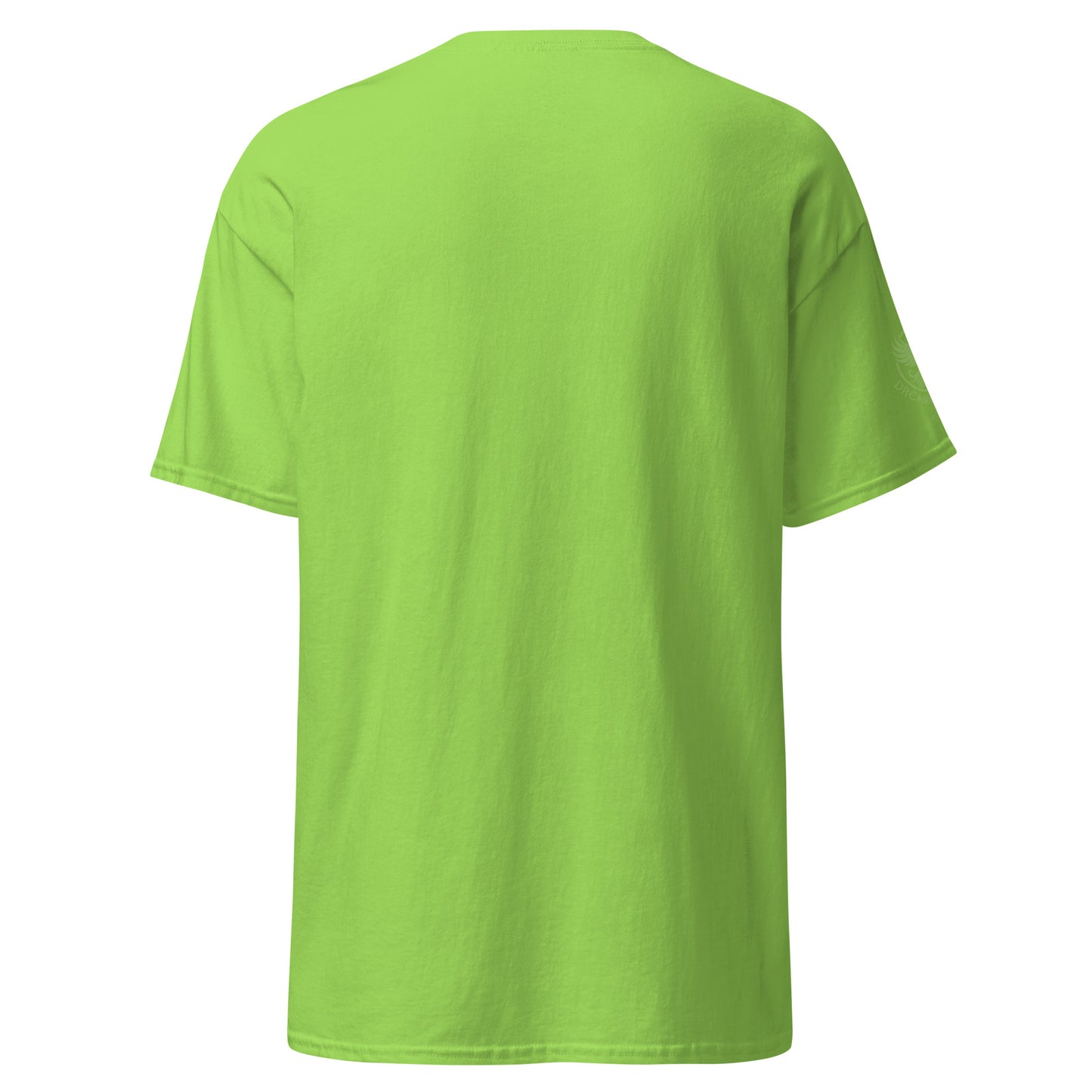 unisex-classic-tee-lime-back-69d6ccdc77535 - Dreamy Phoenix