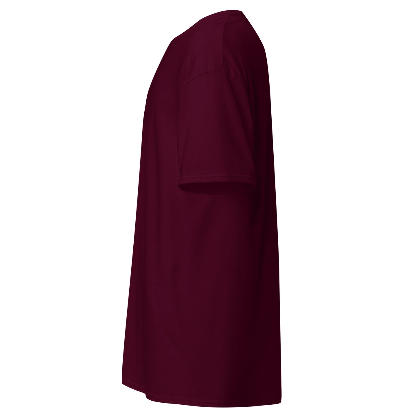 unisex-classic-tee-maroon-left-69d63f052b4be - Dreamy Phoenix