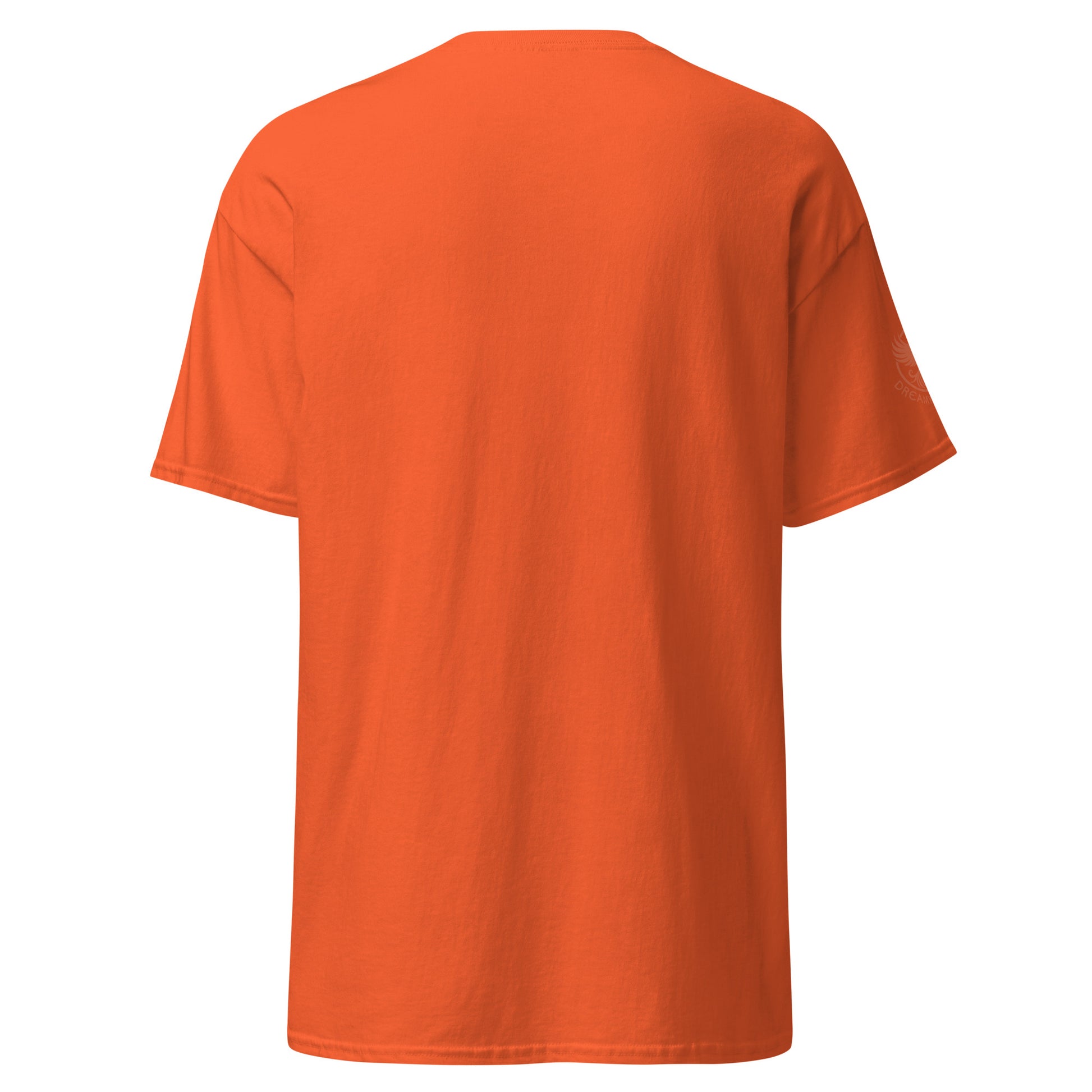 unisex-classic-tee-orange-back-69d6ccdc10d16 - Dreamy Phoenix