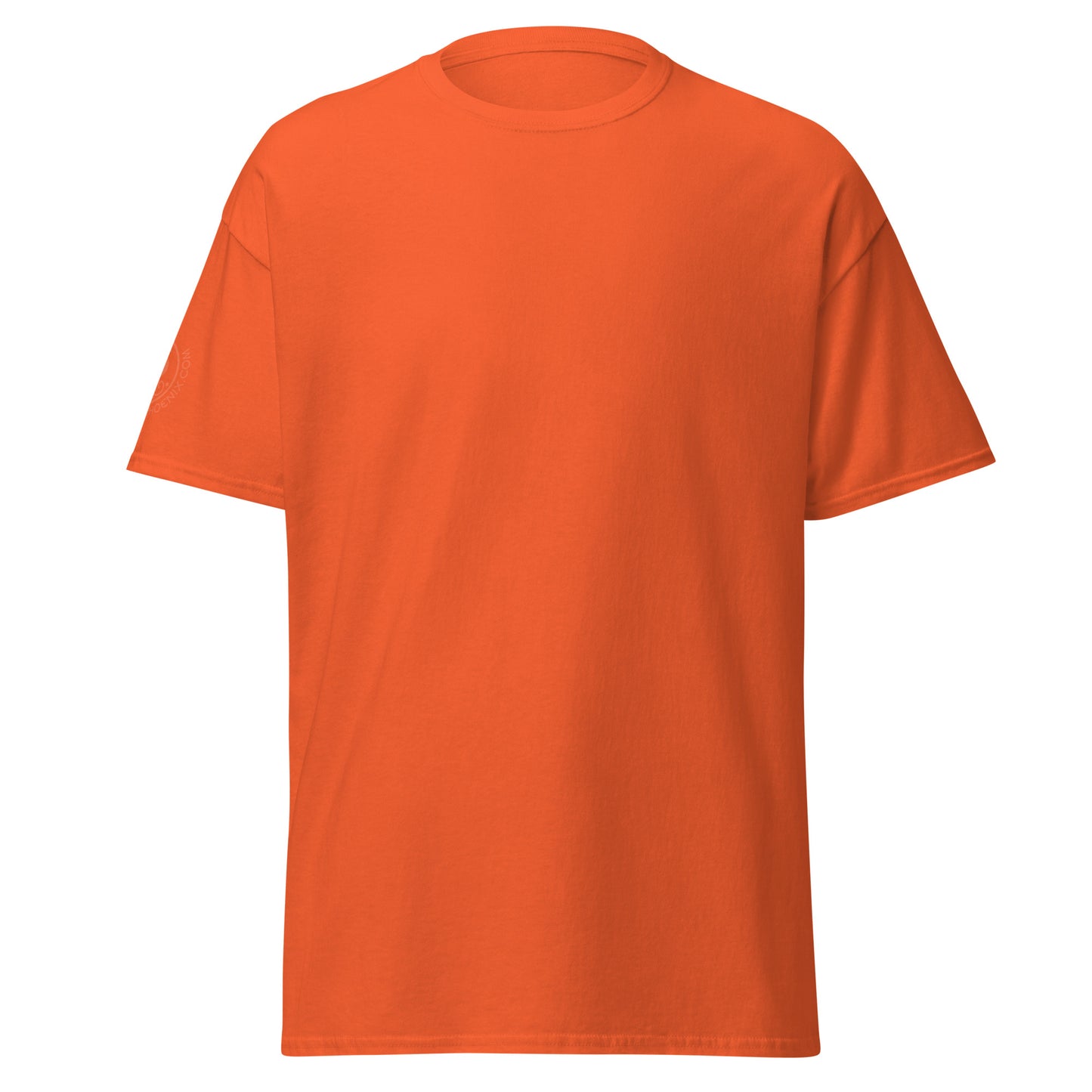 unisex-classic-tee-orange-front-69d63f052c78e - Dreamy Phoenix