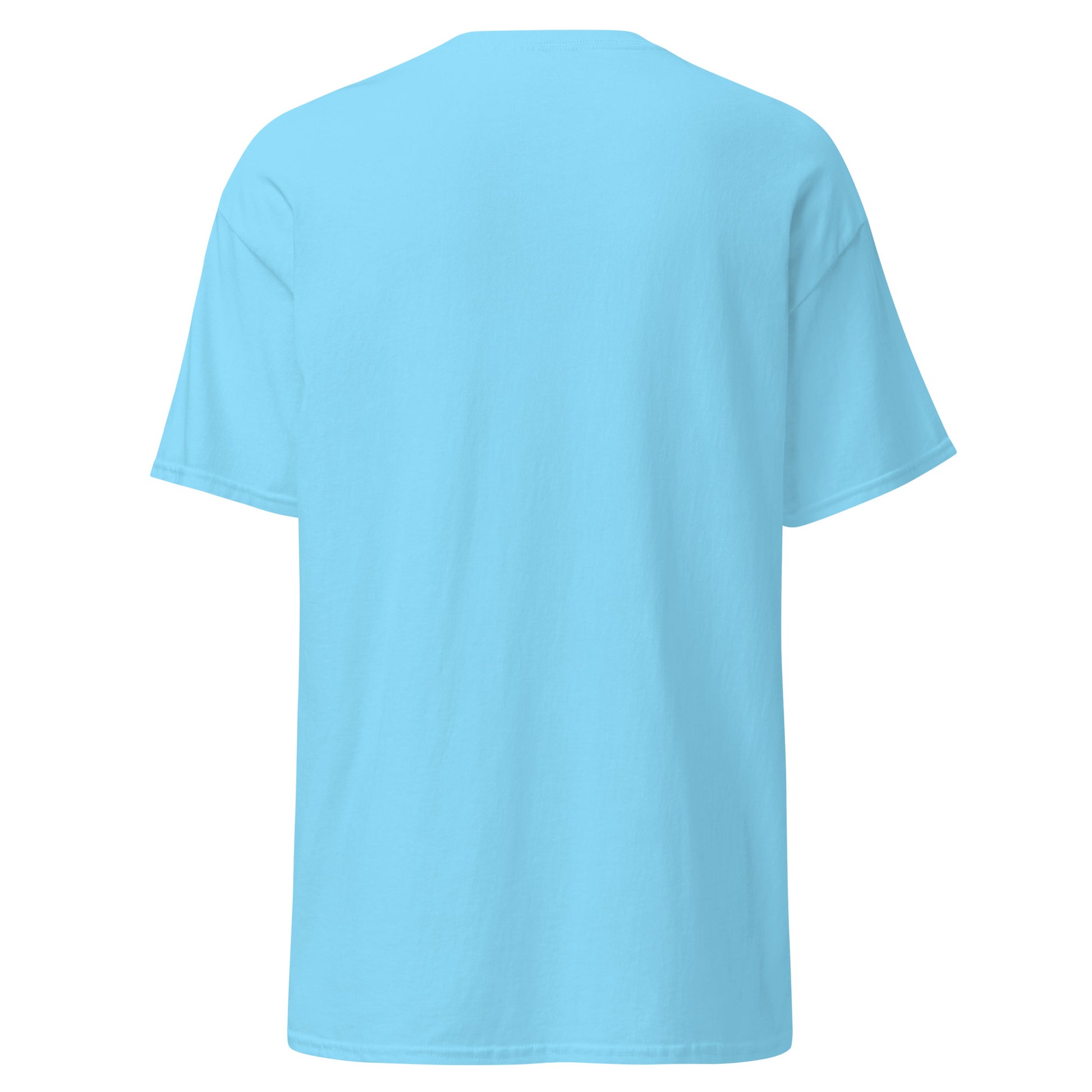 unisex-classic-tee-sky-back-69dd5e0d07a82 - Dreamy Phoenix