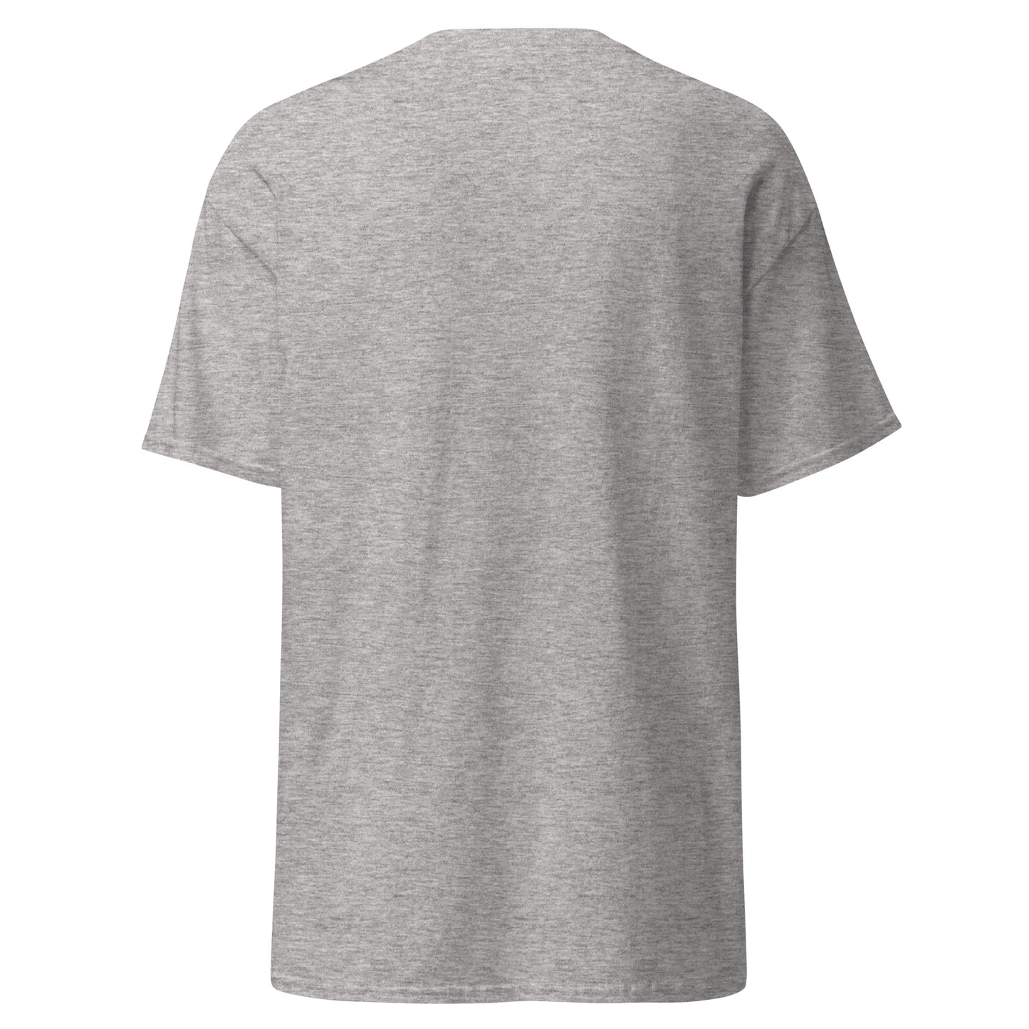 unisex-classic-tee-sport-grey-back-69dd5e0d07b86 - Dreamy Phoenix