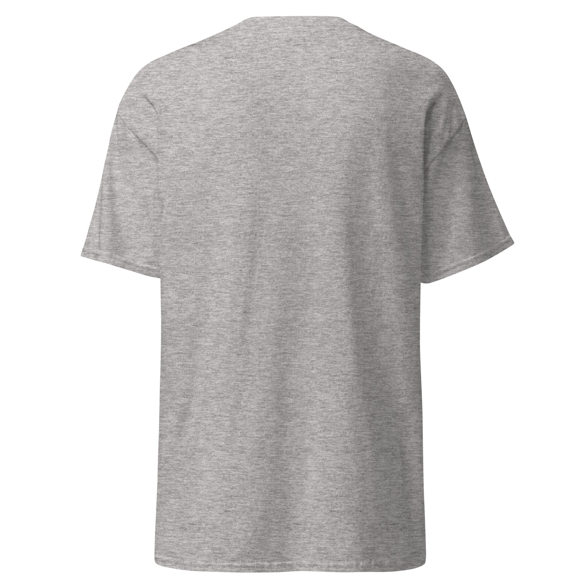 unisex-classic-tee-sport-grey-back-69dd5e0d07b86 - Dreamy Phoenix