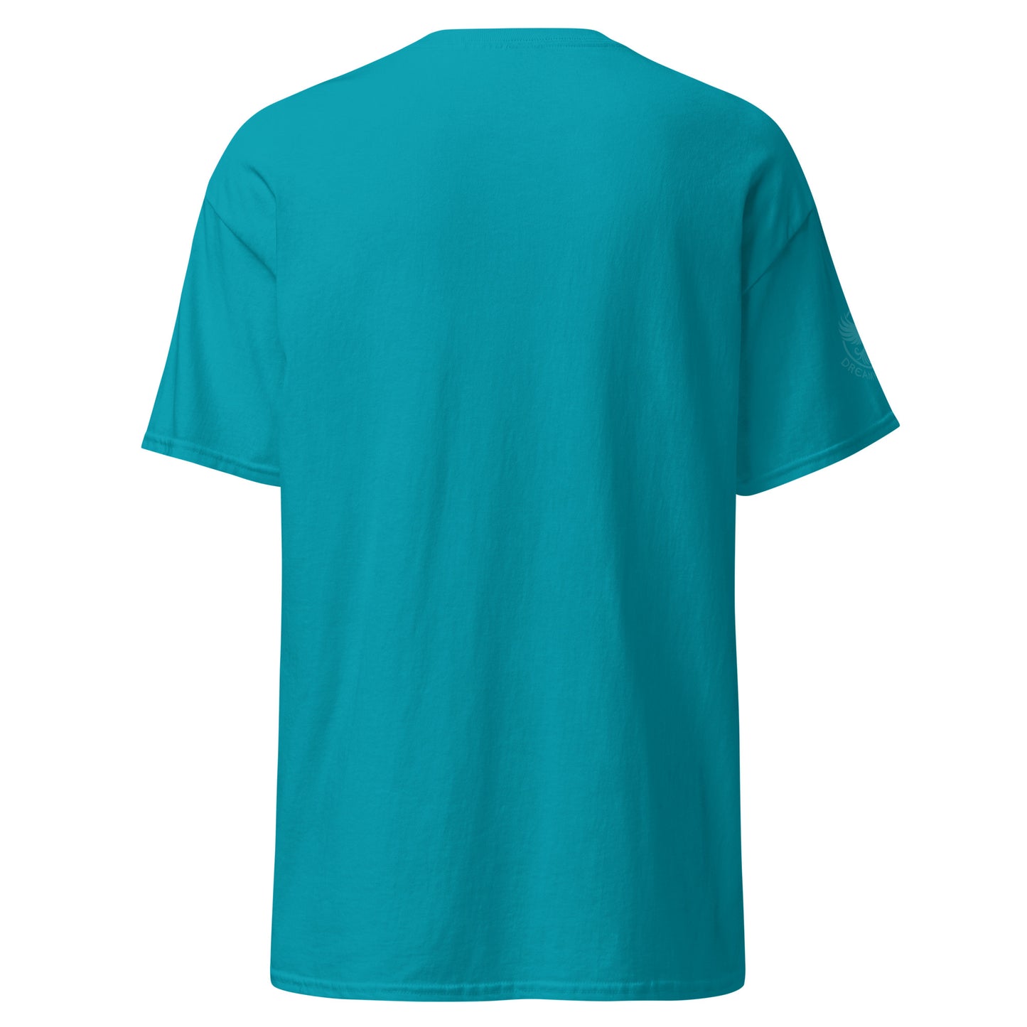 unisex-classic-tee-tropical-blue-back-69d6ccdc2054a - Dreamy Phoenix