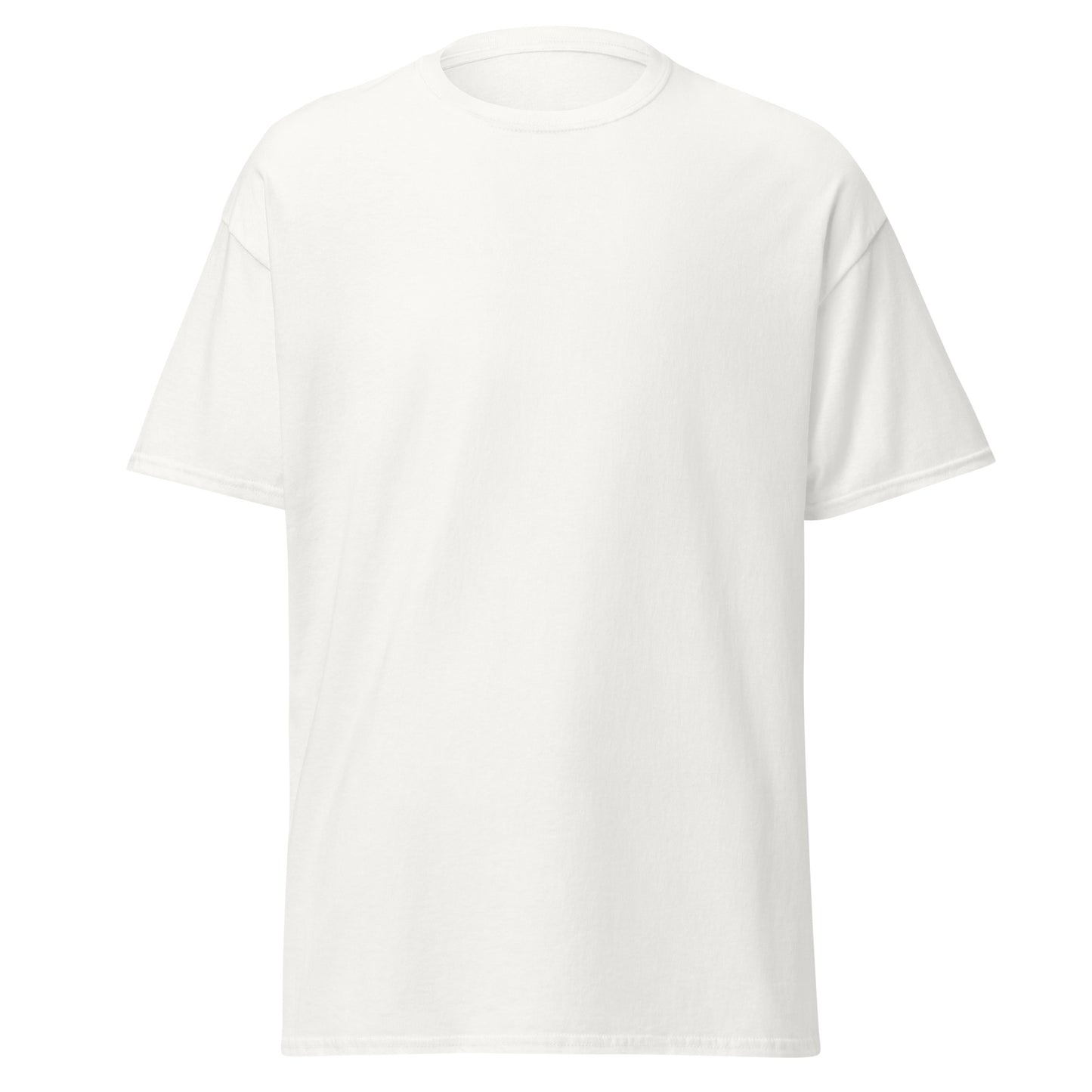 unisex-classic-tee-white-front-69d63f052ca5f - Dreamy Phoenix