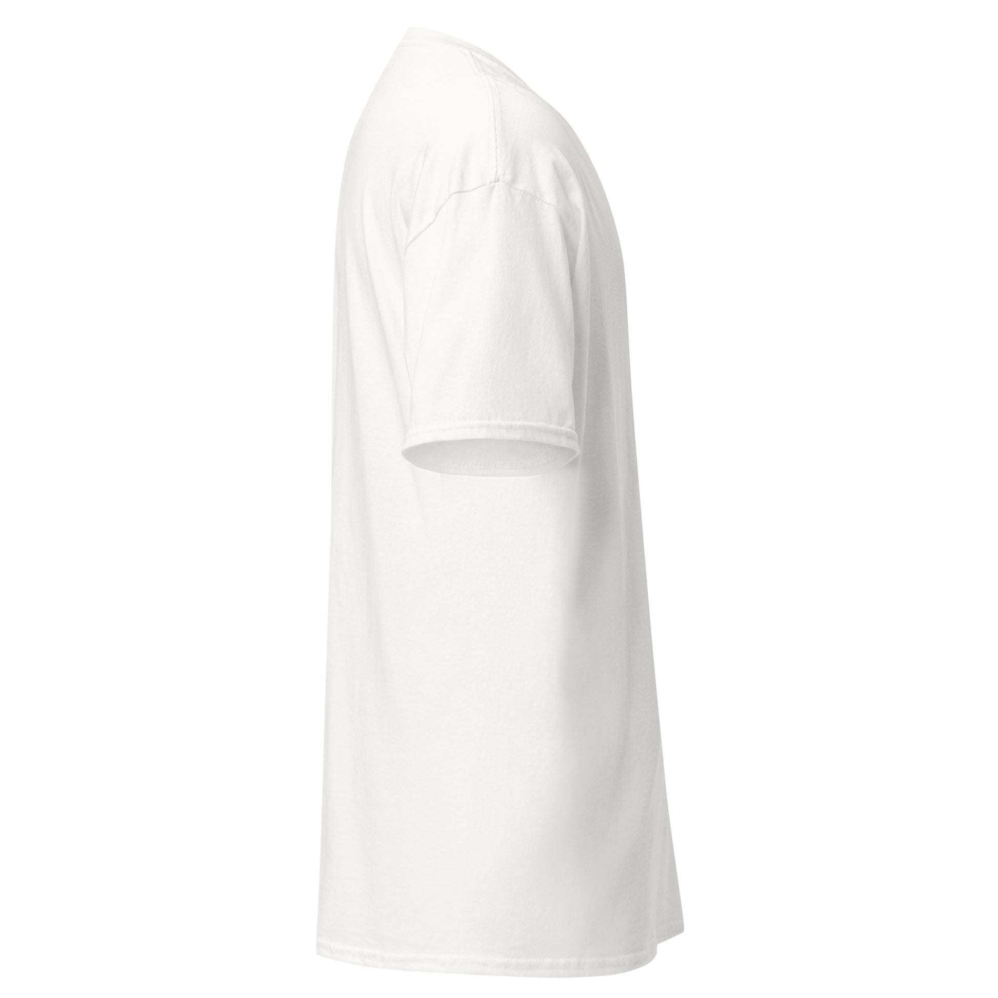 unisex-classic-tee-white-right-69d63f052a765 - Dreamy Phoenix