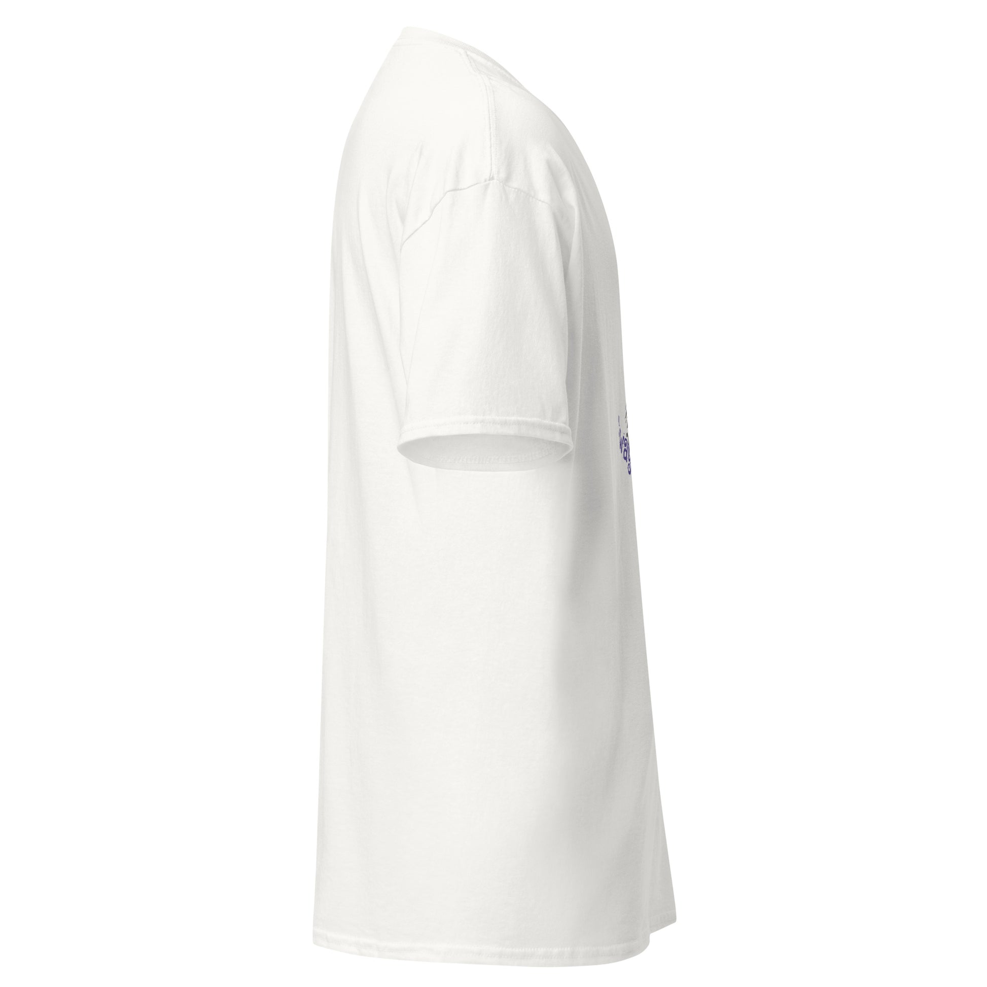 unisex-classic-tee-white-right-6a17594290cfd - Dreamy Phoenix