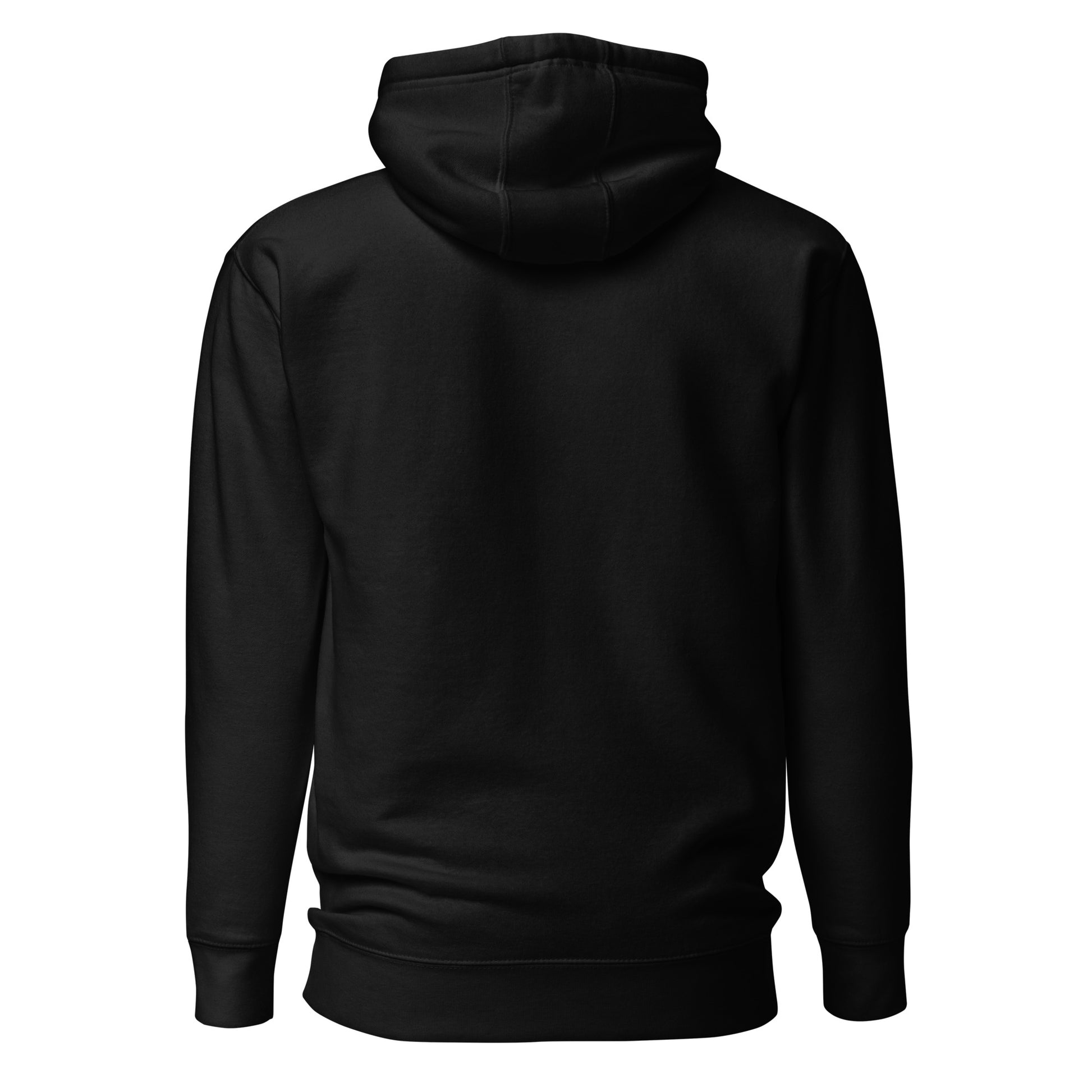 unisex-premium-pullover-hoodie-black-back-6a160b3e20dc4 - Dreamy Phoenix