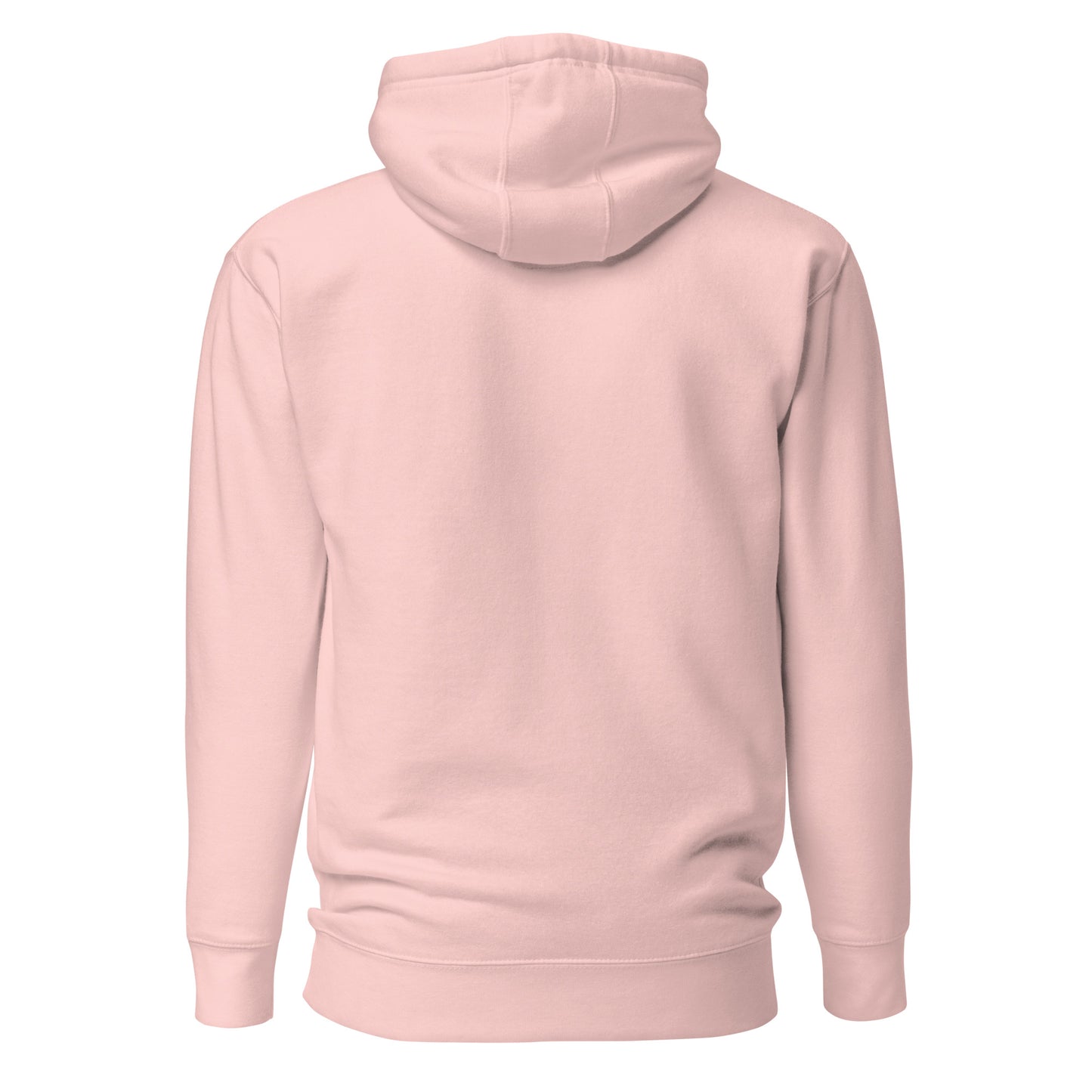 unisex-premium-pullover-hoodie-light-pink-back-6a175663a5265 - Dreamy Phoenix