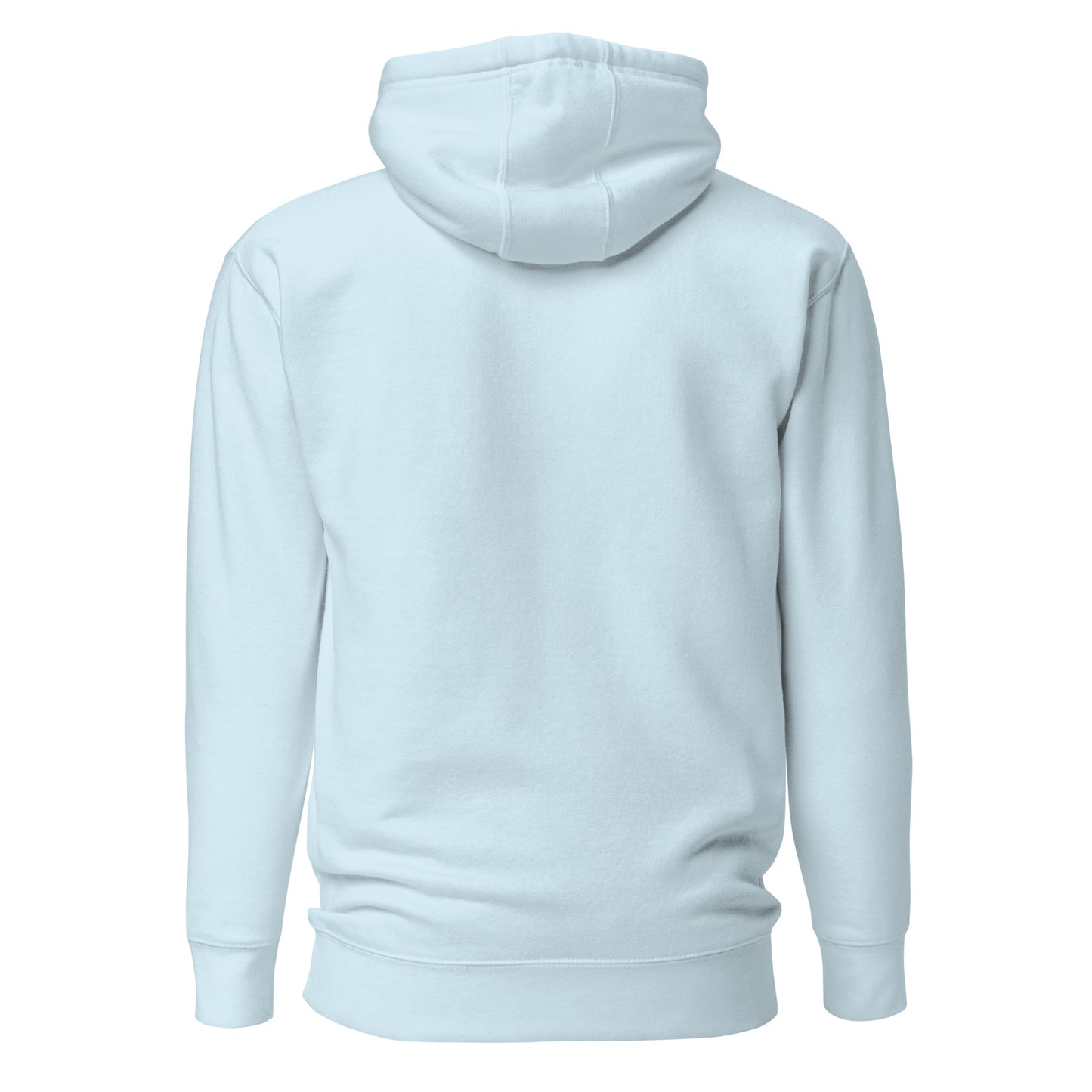 unisex-premium-pullover-hoodie-sky-blue-back-6a1635fba2301 - Dreamy Phoenix