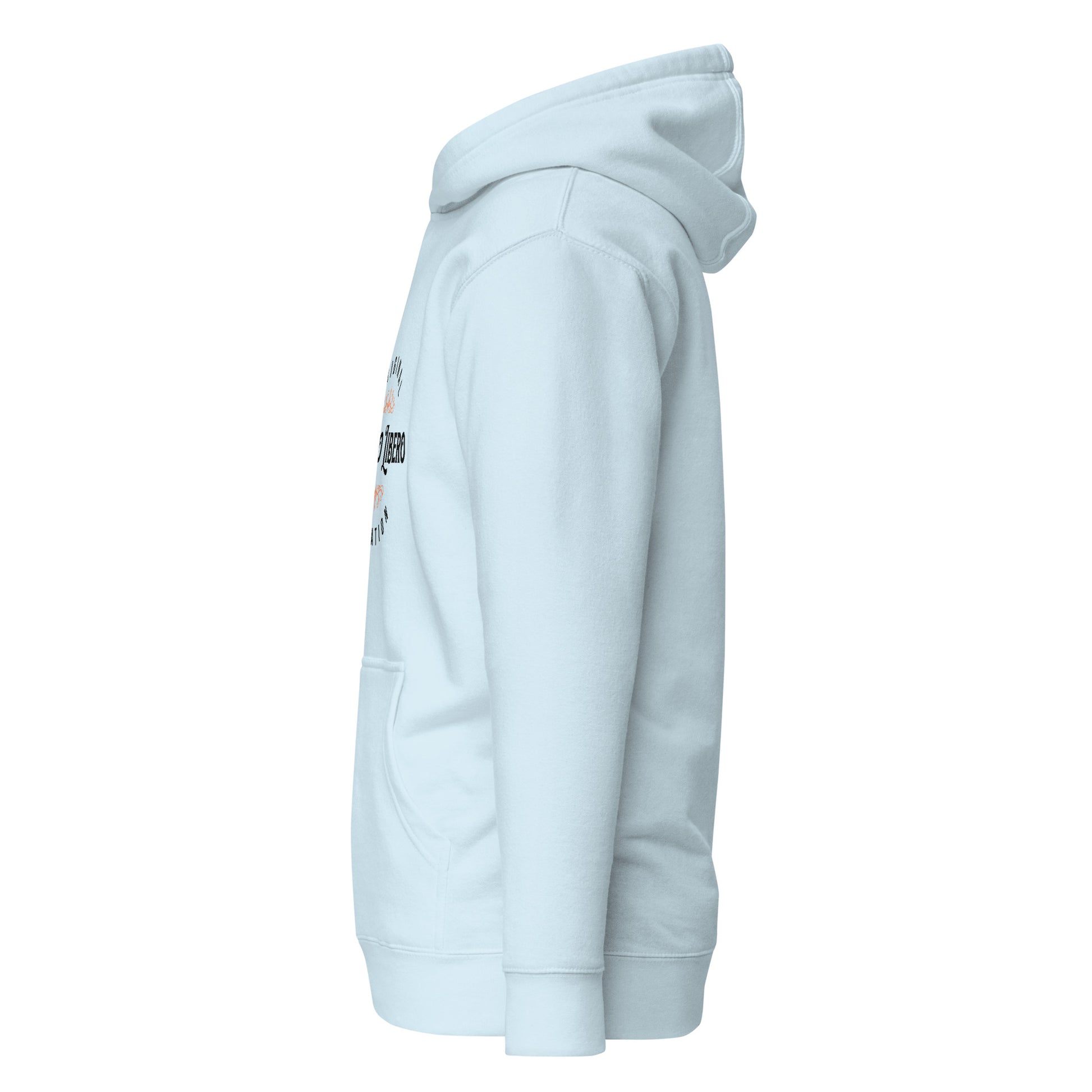 unisex-premium-pullover-hoodie-sky-blue-left-6a175663bb0b0 - Dreamy Phoenix