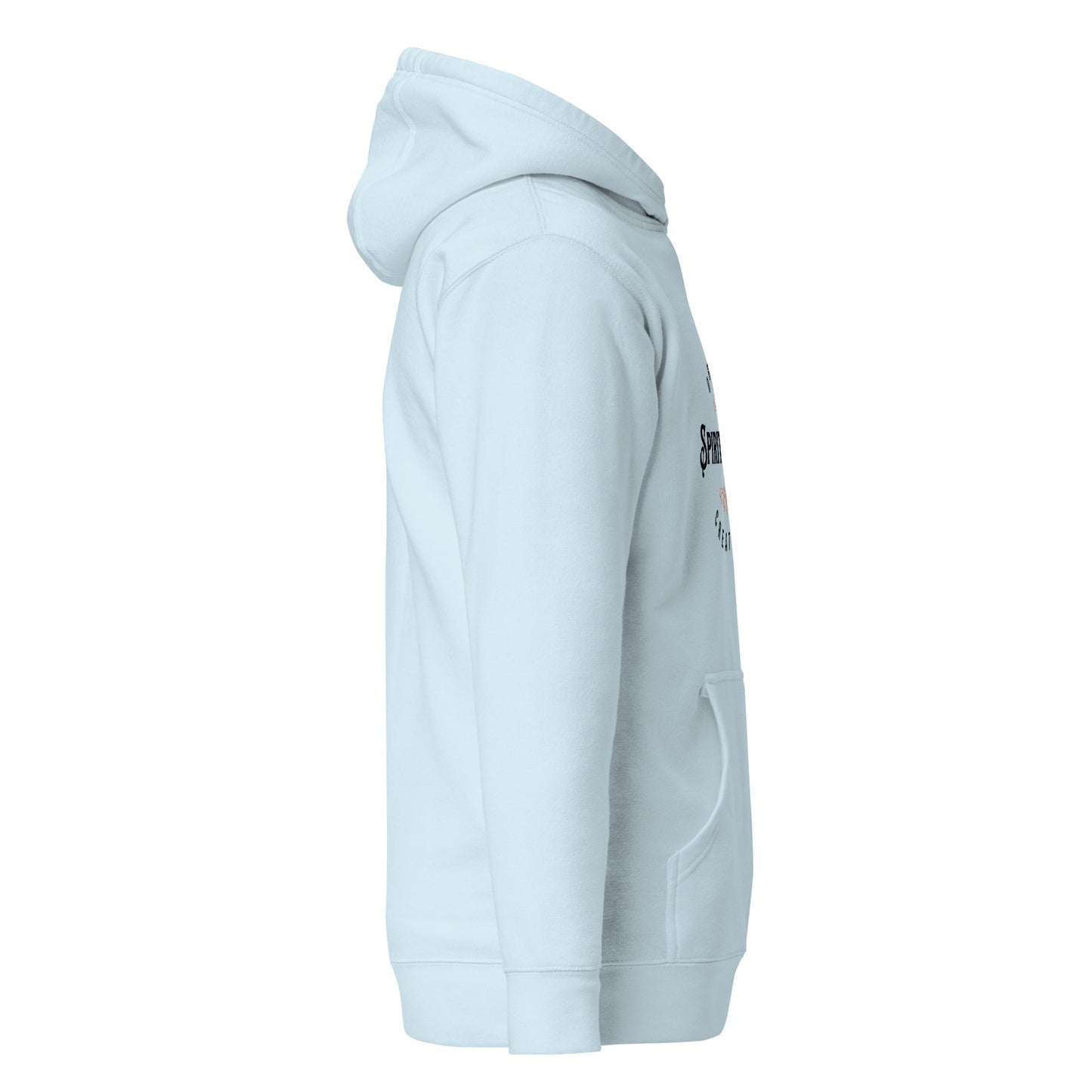 unisex-premium-pullover-hoodie-sky-blue-right-6a175663be51a - Dreamy Phoenix