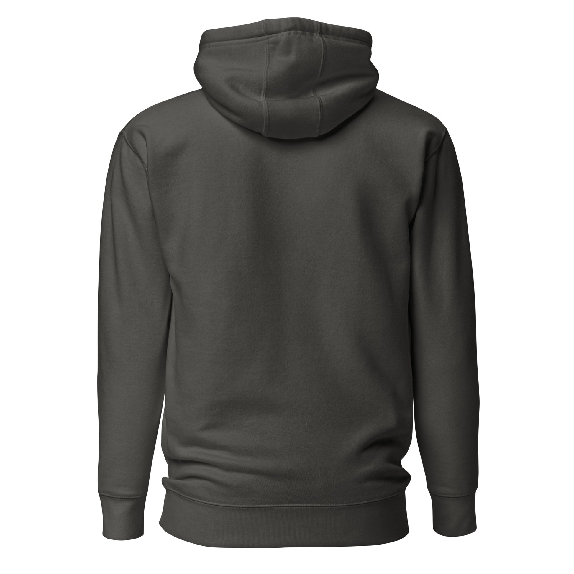 unisex-premium-pullover-hoodie-vintage-black-back-6a1607349d201 - Dreamy Phoenix