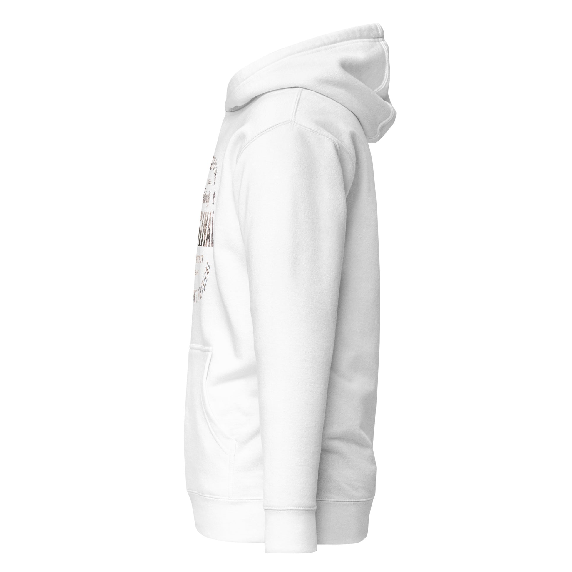 unisex-premium-pullover-hoodie-white-left-6a1607349e06d - Dreamy Phoenix